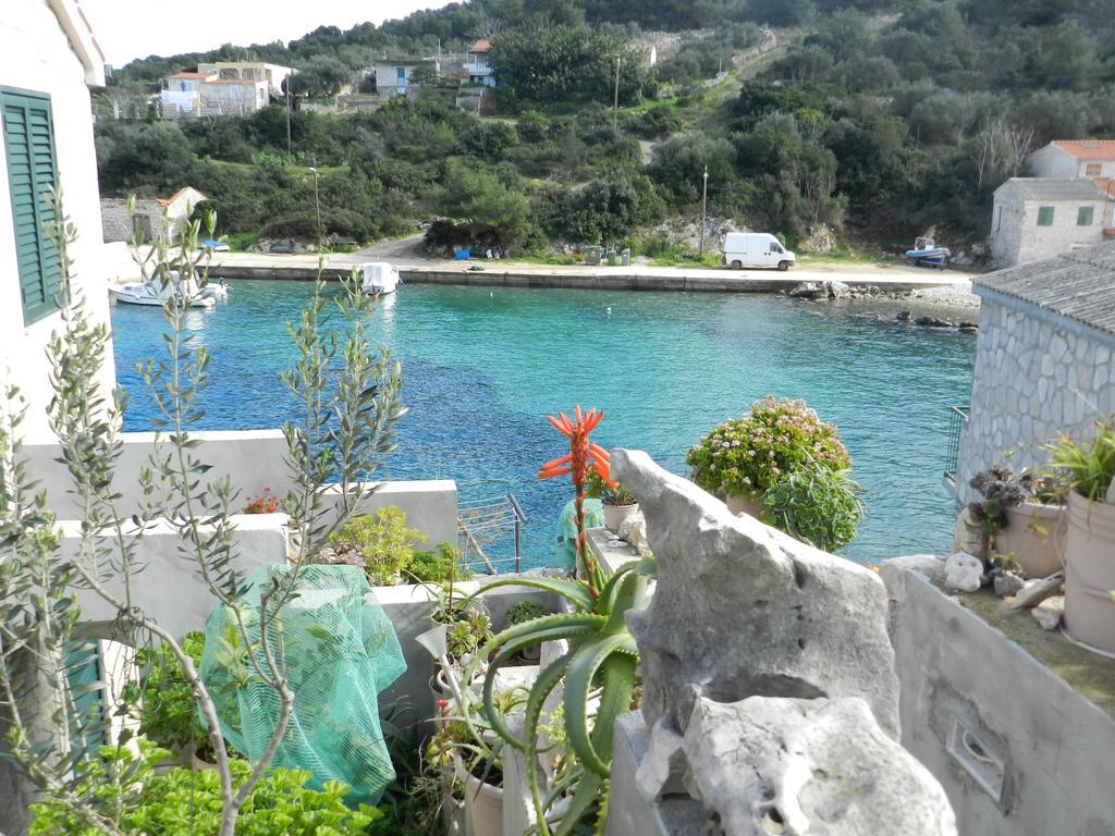 Vila Vita Donje Selo na Solti Exterior photo